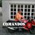 Francisco Lourenço's profile image