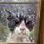 Peggy Tucker Williams Smith's profile image