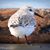 Renae Fuller's profile image
