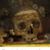 Darrell Reed's profile image