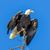 Sue Weston Castellion's profile image