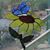 Barbara Holcomb's profile image