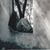 Amanda Masten's profile image