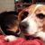 Nancy Leach's profile image