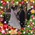 Juan Perez's profile image