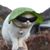 Seth LaCasse's profile image