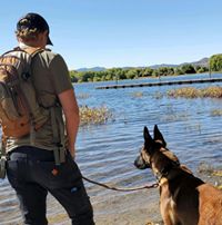 Max De Angelis's profile image