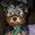 Kathy Blair's profile image