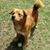 Karen M. Parker's profile image