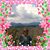 Donna Caskey Snyder's profile image