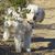 Jodee Gravel's profile image