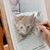 Renee Wergers Pennetti's profile image