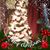 Elaine Bozone Anderson's profile image