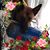Elizabeth Stanley-reicherter's profile image