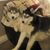 John Dale's profile image