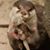 Lissy Shelton Hosler's profile image