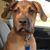Brian Kohlbecker's profile image