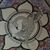 Rachel Dorvil's profile image