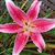 Linda Bolz DeMars's profile image