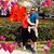 Ricardo Ribeiro's profile image