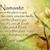 Stacey Jackson Rayburn Finley's profile image