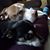 Nora Brownell's profile image