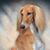 Patricia Gillis's profile image