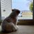 Jennifer Lambert Leeman's profile image