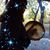 Pamela Outersky Smith's profile image