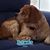 Patty Bover's profile image