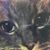 Michaela Hamblet Rudden's profile image