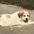 Donna Duckie Johnson's profile image