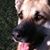 Sheila Cutshall's profile image
