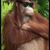 Sean Dailey Sr.'s profile image