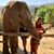 Naty Tsakmazian's profile image