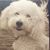 Sheryl Haggerty Wendt's profile image