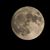 Steve Woodbury's profile image