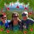 Julie Hugo Currey's profile image