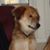 Sandy Robinson's profile image