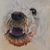 Anna Pich's profile image