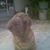 Juan Pascacio's profile image