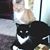 Sharon Howard's profile image