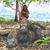Steph Toft's profile image