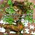 Kathleen Loughery's profile image