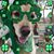 Nancy Lim's profile image