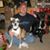 Chris L. Davis's profile image