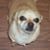 Petey Brassell's profile image