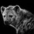 William Gant's profile image