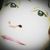 Michele Delozier's profile image