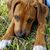 Cathy Rhodes Varela's profile image
